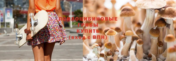 дмт Балахна