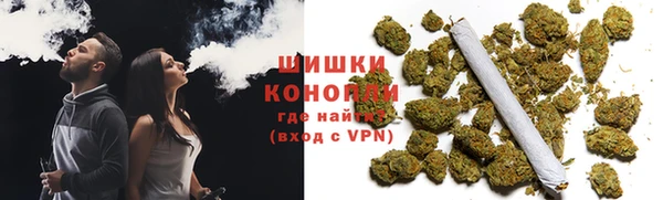ГАЛЛЮЦИНОГЕННЫЕ ГРИБЫ Баксан