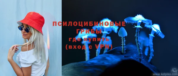 дмт Балахна