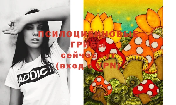 дмт Балахна