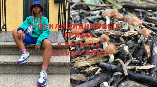 ГАЛЛЮЦИНОГЕННЫЕ ГРИБЫ Баксан